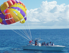 海空双体验——浮潜与帆伞滑翔